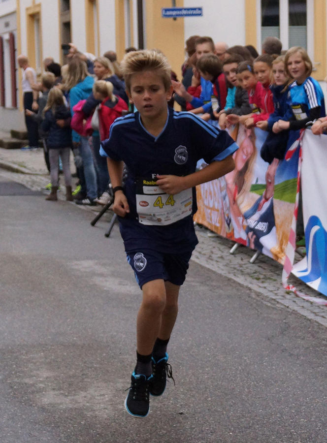 Unionlauf 2015 339