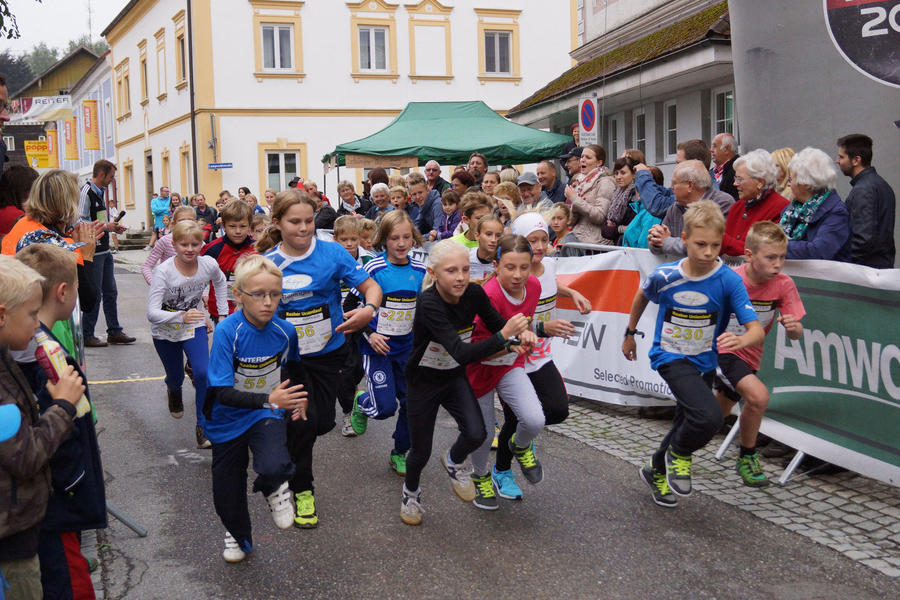 Unionlauf 2015 365